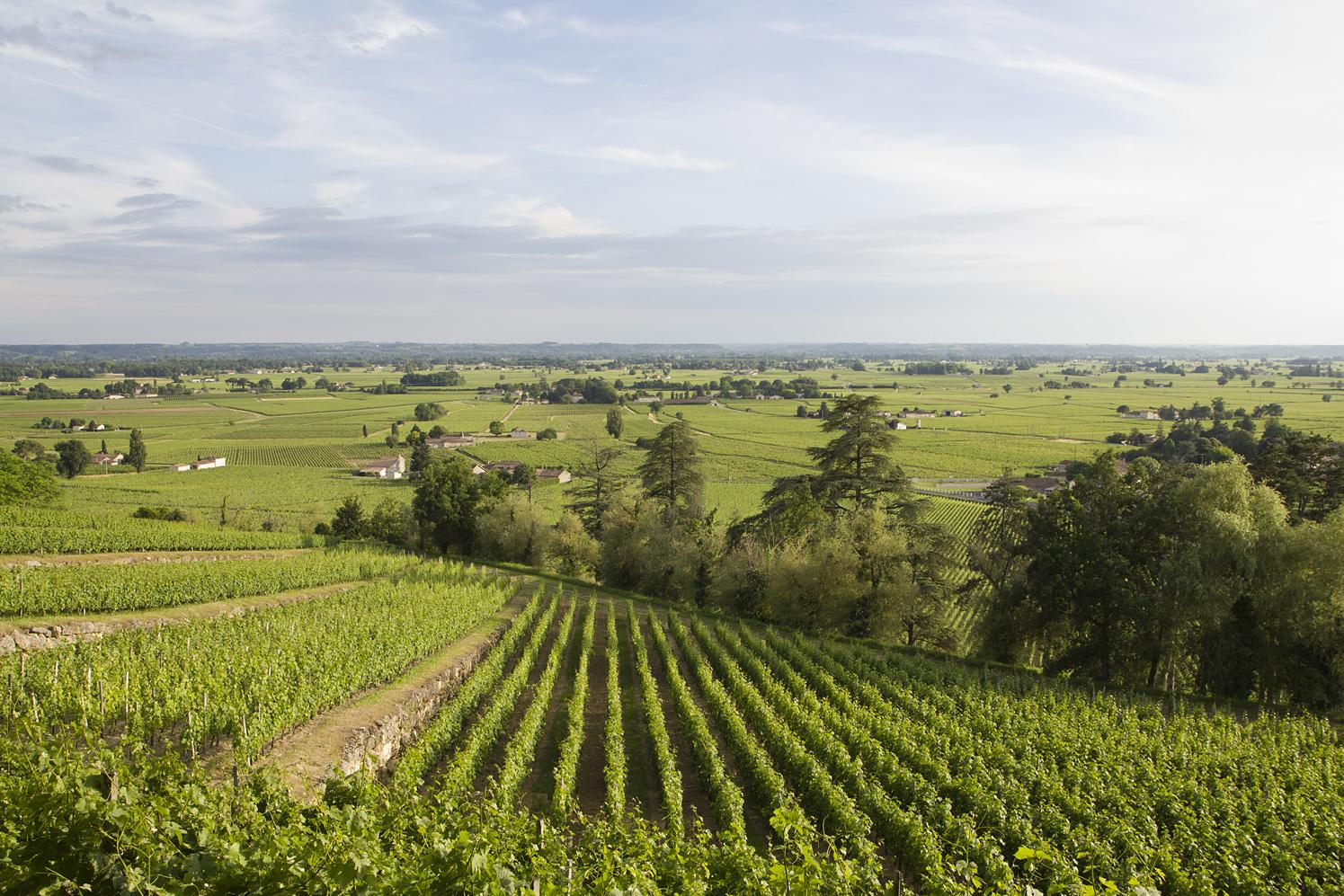 Hidden Gems of⁤ Bordeaux: ‌A Wine Lovers Paradise