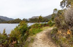 Is Cultural Tourism Exploiting Indigenous Communities Is Cultural Tourism Exploiting Indigenous Communities