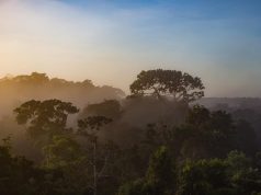 Best eco-lodges in the Amazon Rainforest Best eco-lodges in the Amazon Rainforest