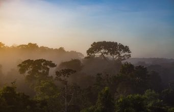 Best eco-lodges in the Amazon Rainforest Best eco-lodges in the Amazon Rainforest