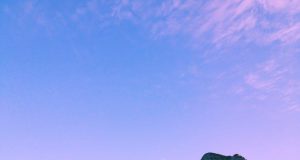 Cape Town: A Blend of Urban Life and Nature’s Splendor Cape Town: A Blend of Urban Life and Nature’s Splendor