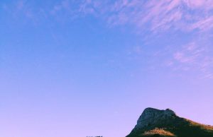 Cape Town: A Blend of Urban Life and Nature’s Splendor Cape Town: A Blend of Urban Life and Nature’s Splendor