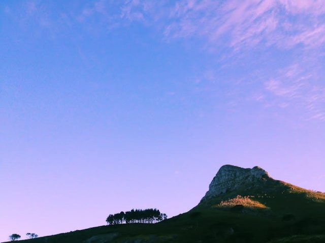 Cape Town: A Blend of Urban Life and Nature’s Splendor