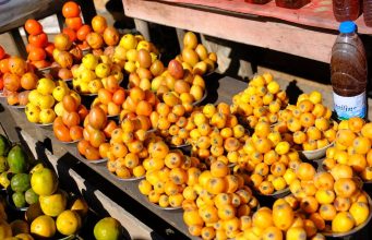 Should Tourists Avoid Political Hotspots in Africa Should Tourists Avoid Political Hotspots in Africa