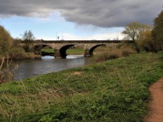 Should Tourists Boycott Europe’s Fur Trade Markets Should Tourists Boycott Europe’s Fur Trade Markets