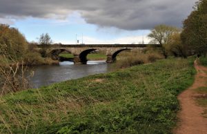 Should Tourists Boycott Europe’s Fur Trade Markets Should Tourists Boycott Europe’s Fur Trade Markets