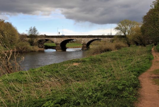 Should Tourists Boycott Europe’s Fur Trade Markets Should Tourists Boycott Europe’s Fur Trade Markets