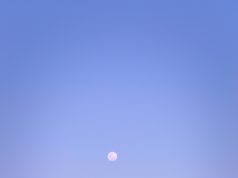 Best wildlife safari parks in Africa Best wildlife safari parks in Africa