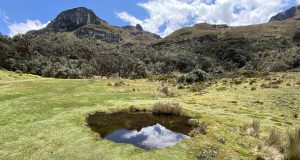 Best national parks in Ecuador for wildlife spotting