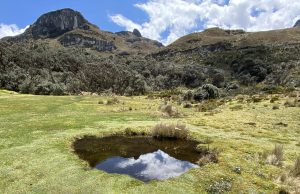 Best national parks in Ecuador for wildlife spotting