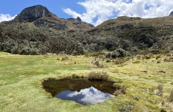 Best national parks in Ecuador for wildlife spotting Best national parks in Ecuador for wildlife spotting