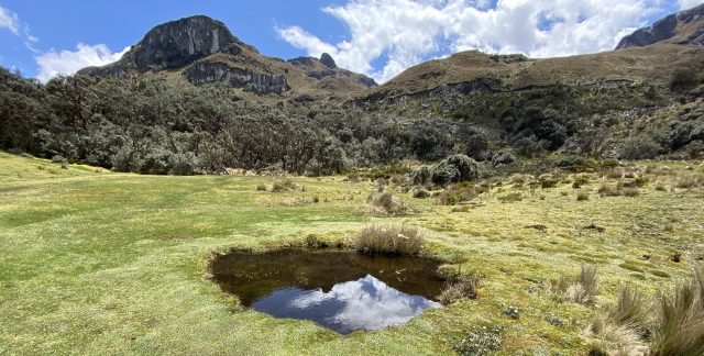 Best national parks in Ecuador for wildlife spotting