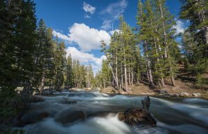 Are National Parks Becoming Too Commercialized Are National Parks Becoming Too Commercialized