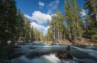 Are National Parks Becoming Too Commercialized Are National Parks Becoming Too Commercialized