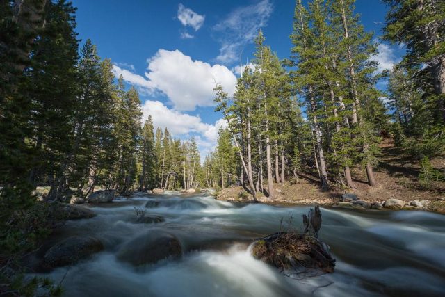 Are National Parks Becoming Too Commercialized