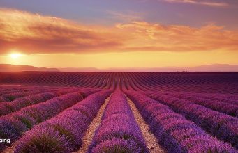 The Impact of Tourism on Western Europe’s Natural Landscapes The Impact of Tourism on Western Europe’s Natural Landscapes