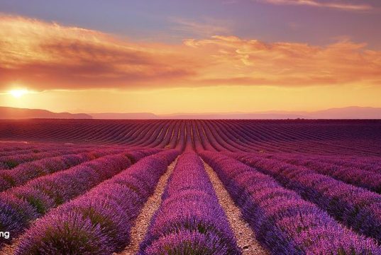 The Impact of Tourism on Western Europe’s Natural Landscapes The Impact of Tourism on Western Europe’s Natural Landscapes