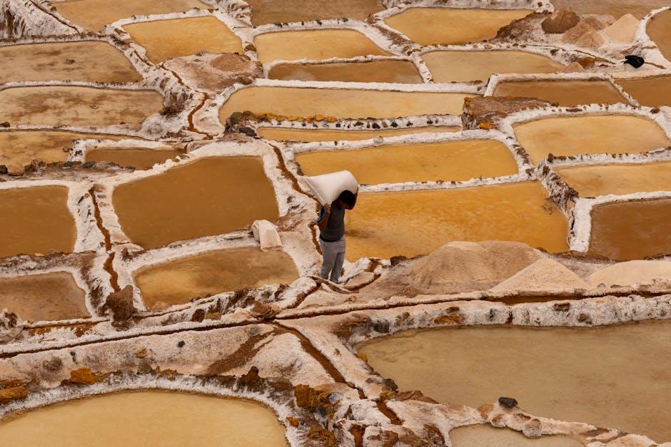 Exploring the Impact of Mining Operations‌ on Local​ Tourism Ventures