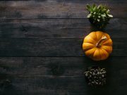 A Guide to New England’s Fall Foliage Destinations A Guide to New England’s Fall Foliage Destinations