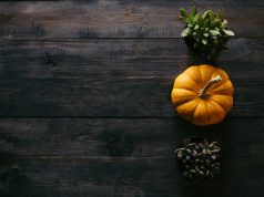 A Guide to New England’s Fall Foliage Destinations A Guide to New England’s Fall Foliage Destinations