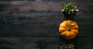 A Guide to New England’s Fall Foliage Destinations A Guide to New England’s Fall Foliage Destinations