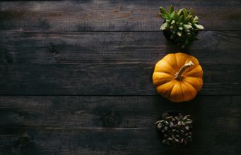 A Guide to New England’s Fall Foliage Destinations A Guide to New England’s Fall Foliage Destinations