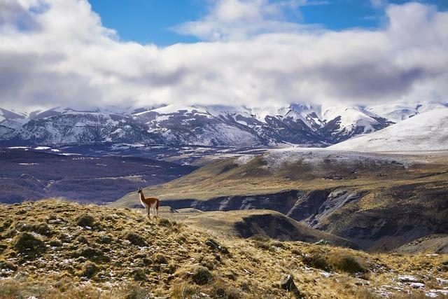 Top archaeological sites in South America to visit