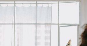 Are Seasonal Events Damaging Local Ecosystems Are Seasonal Events Damaging Local Ecosystems