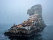 Must-visit European islands for adventure seekers Must-visit European islands for adventure seekers