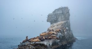 Must-visit European islands for adventure seekers Must-visit European islands for adventure seekers