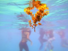 The best snorkeling destinations in the Caribbean The best snorkeling destinations in the Caribbean