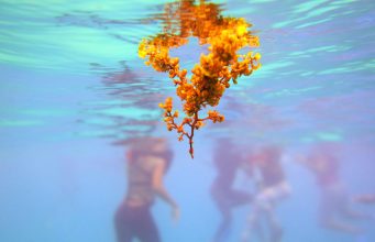 The best snorkeling destinations in the Caribbean The best snorkeling destinations in the Caribbean