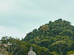 Uncovering the Mayan Ruins of Mexico