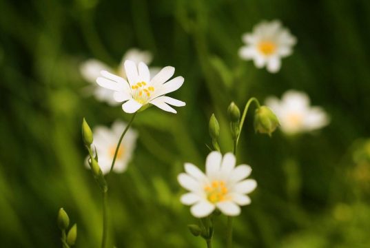 Are European Countries Doing Enough to Promote Sustainable Tourism Are European Countries Doing Enough to Promote Sustainable Tourism