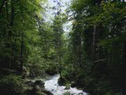 Best family-friendly destinations in Argentina Best family-friendly destinations in Argentina