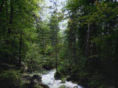 Best family-friendly destinations in Argentina Best family-friendly destinations in Argentina