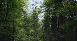 Best family-friendly destinations in Argentina Best family-friendly destinations in Argentina