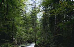 Best family-friendly destinations in Argentina Best family-friendly destinations in Argentina