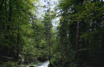 Best family-friendly destinations in Argentina Best family-friendly destinations in Argentina