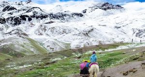 A foodie’s guide to the best ceviche in Peru A foodie’s guide to the best ceviche in Peru