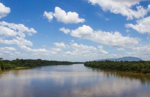 Should Governments Regulate Tourism in the Amazon Should Governments Regulate Tourism in the Amazon