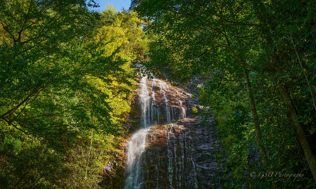 The Impact of Commercialization on Park Ecosystems