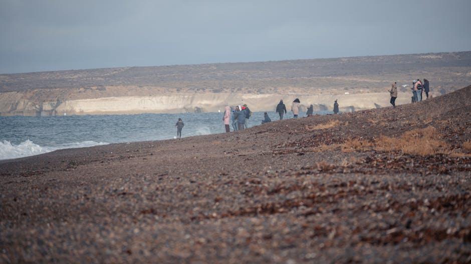 Coastal Cliffs and Seabird Spectacles of‍ <a href=