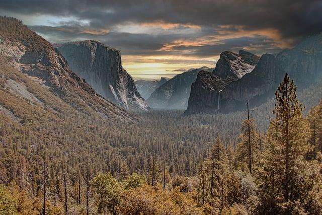 Coastal Treasures: Machalilla National Parks Rich Ecosystems