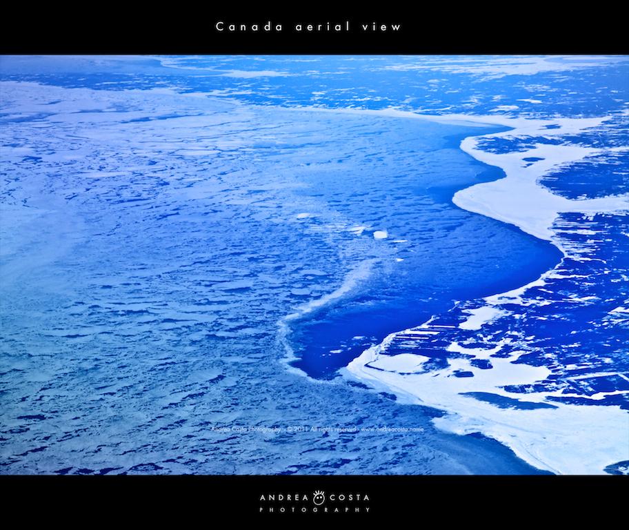 Captivating Encounters in Canadas Northern Waters