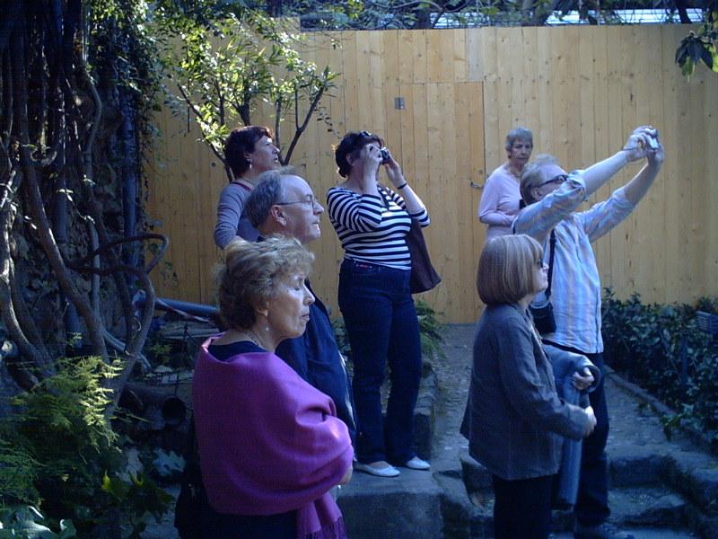 Economic Impacts of Tiered Pricing for Tourists