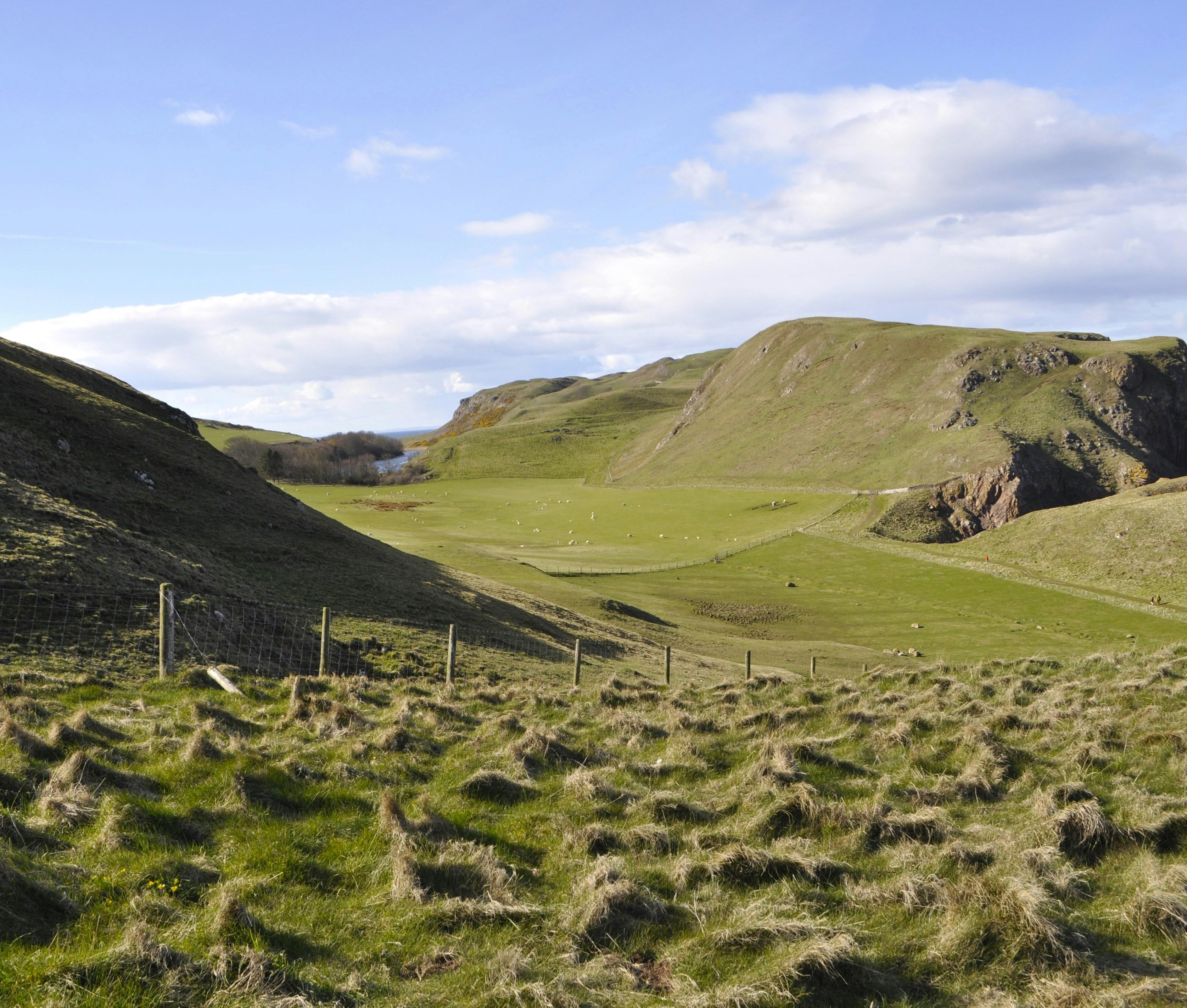 Strategies for Sustainable Social Media⁣ Campaigns