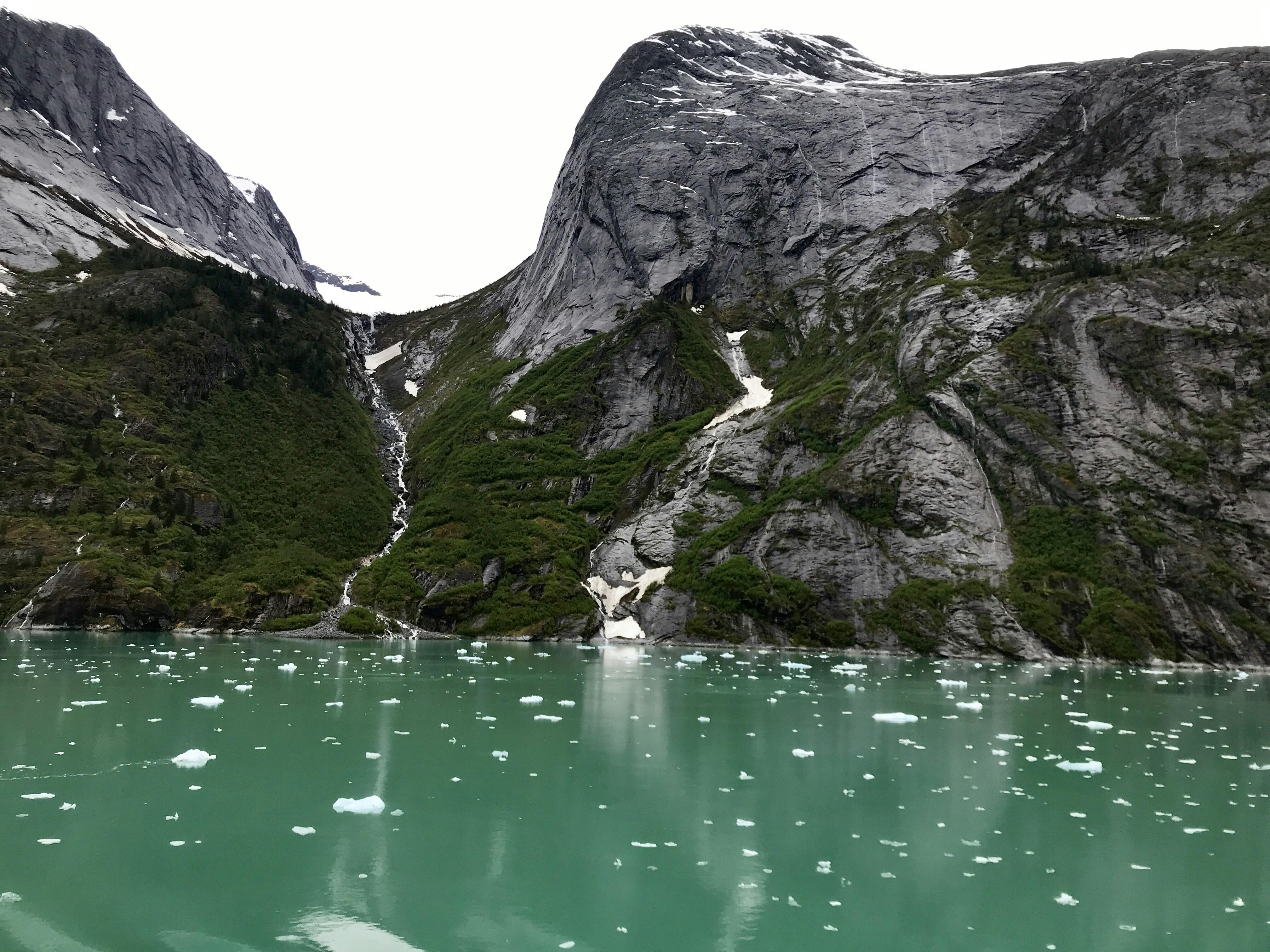 Discovering the Rich ​Biodiversity of ​Tongass National Forest