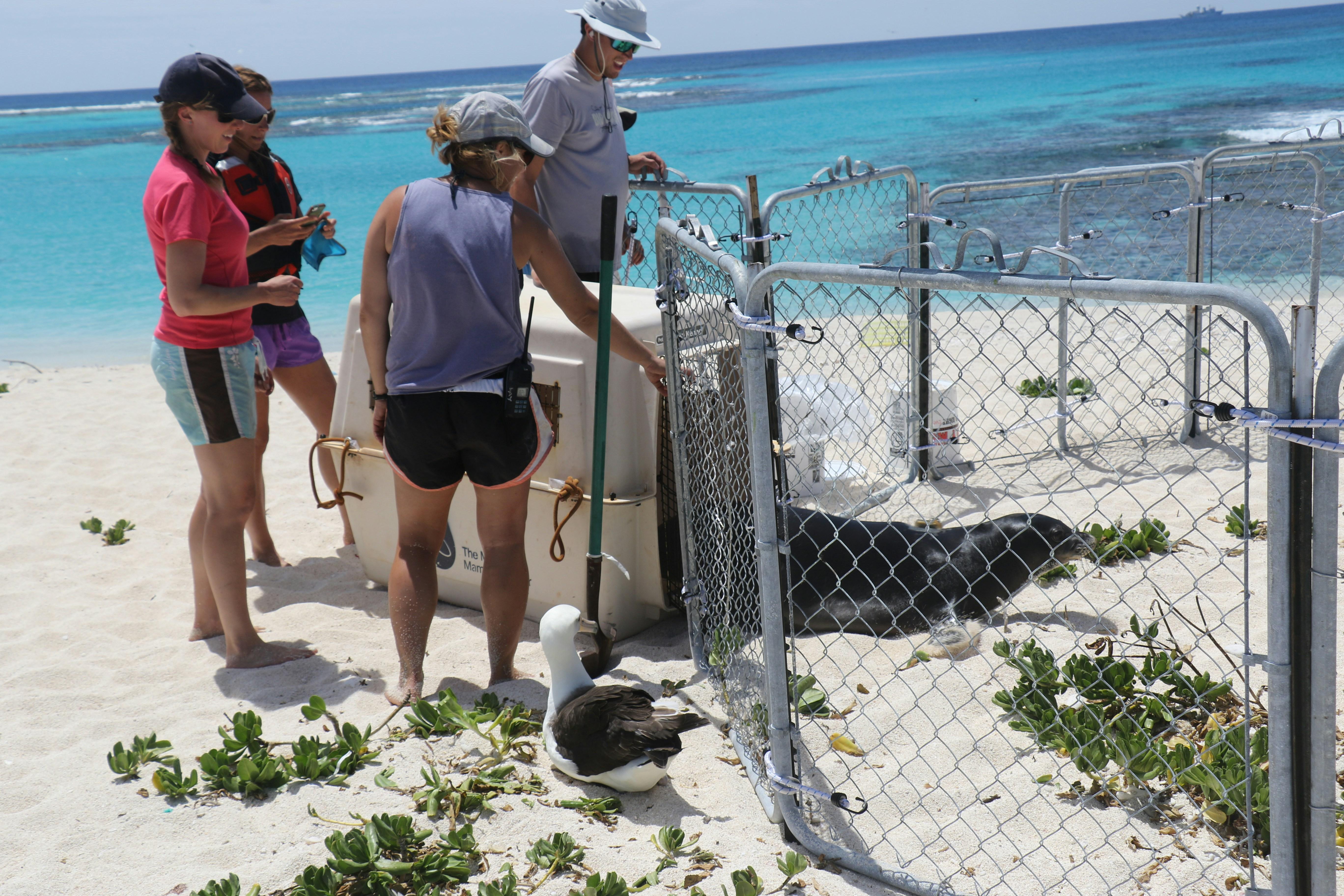 Guardians of the Deep Engaging Local Communities in​ Sustainable Practices