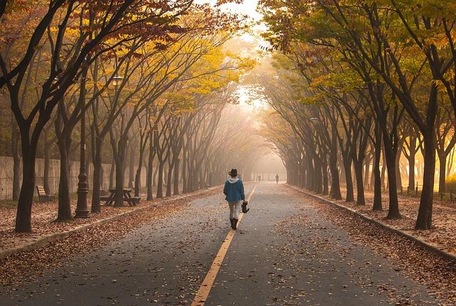 Seasonal ‍Walks Experience Europes ‍Cities in Their Best Light